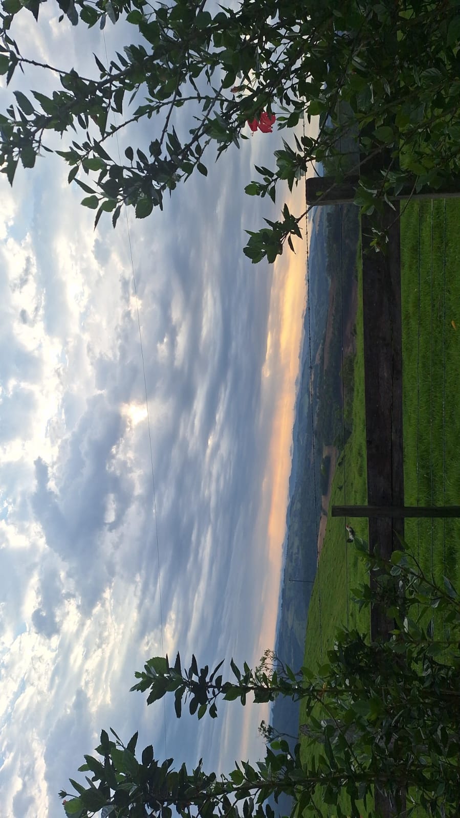 Imagem destacando o uso de sensores e drones na Agricultura 4.0, transformando o gerenciamento das plantações.